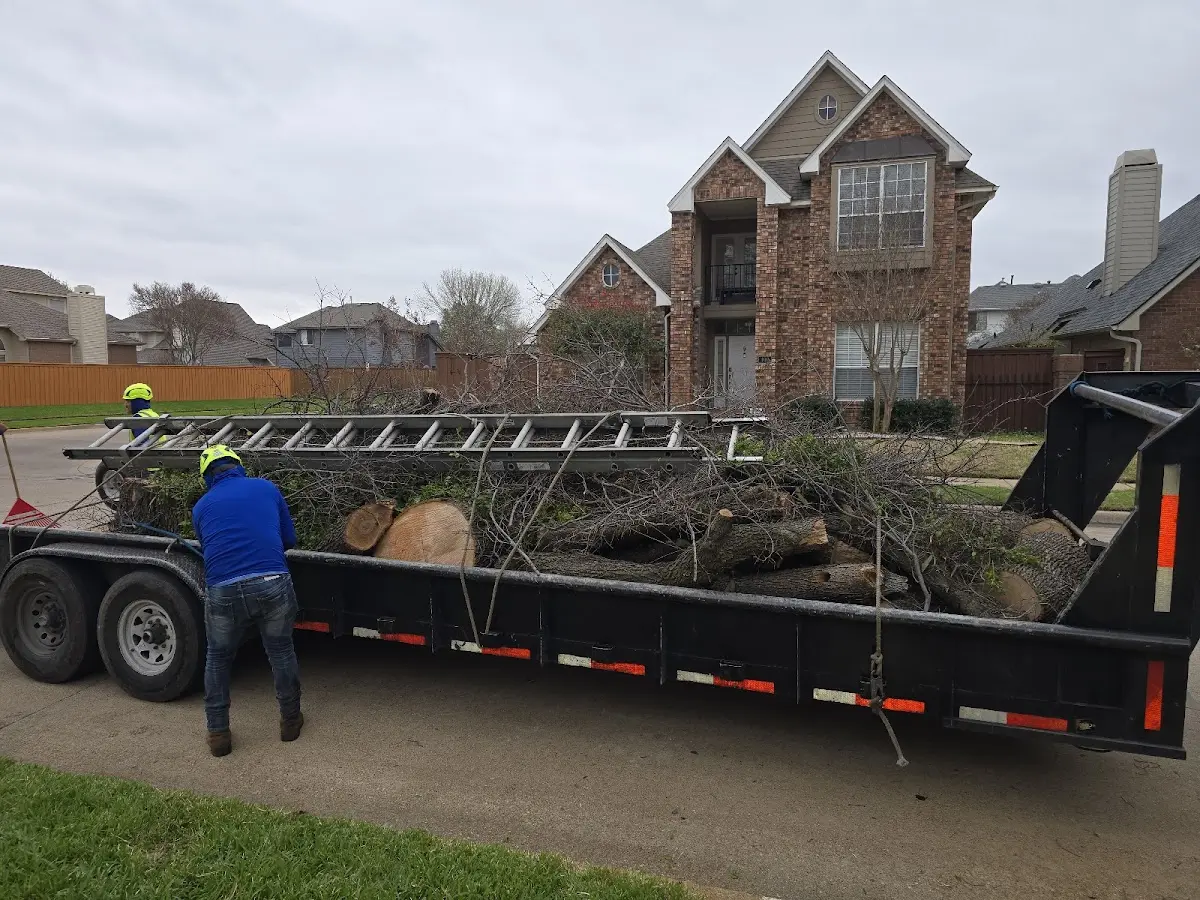 Expert Tree Fertilization with proper safety equipment in Patchogue